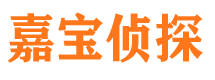 乌达市调查公司